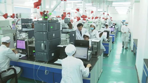 吉林創新指數躍升全國第一，科技強國戰略下的東北振興新篇章