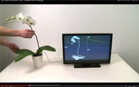 環(huán)球時訊 網(wǎng)絡(luò)科技與計算機(jī)的融合創(chuàng)新與未來展望