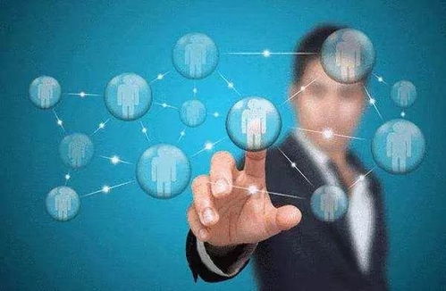 理科就業(yè)率排名前十的熱門專業(yè) 聚焦網(wǎng)絡(luò)科技與計算機(jī)領(lǐng)域