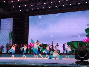 《祖國(guó)永遠(yuǎn)是春天》——小江精品藝術(shù)學(xué)校2025年專(zhuān)場(chǎng)春節(jié)文藝演出暨廣播電視節(jié)目制作紀(jì)實(shí)